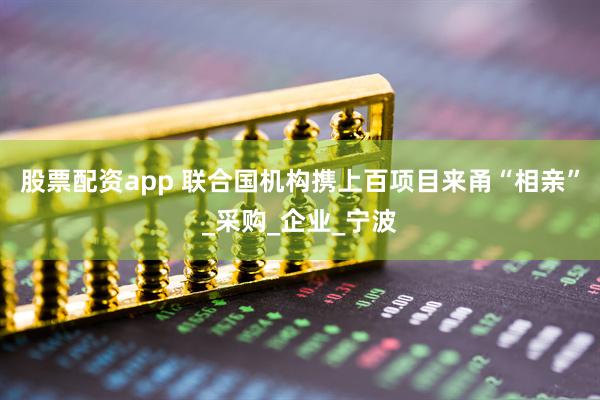 股票配资app 联合国机构携上百项目来甬“相亲”_采购_企业_宁波