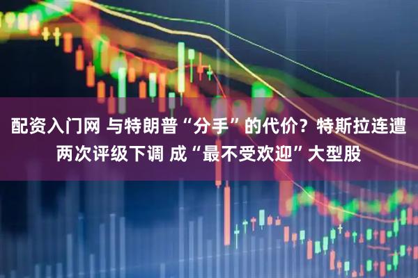 配资入门网 与特朗普“分手”的代价？特斯拉连遭两次评级下调 成“最不受欢迎”大型股
