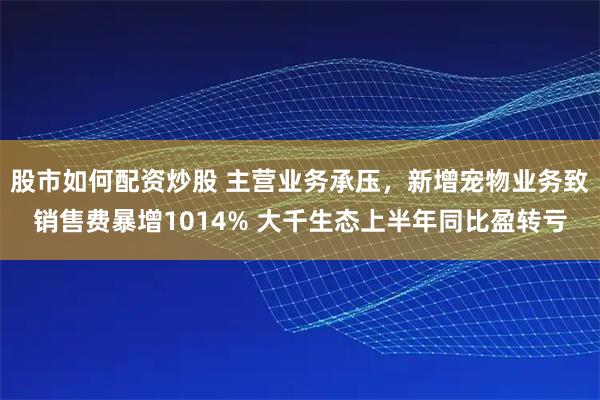 股市如何配资炒股 主营业务承压，新增宠物业务致销售费暴增1014% 大千生态上半年同比盈转亏